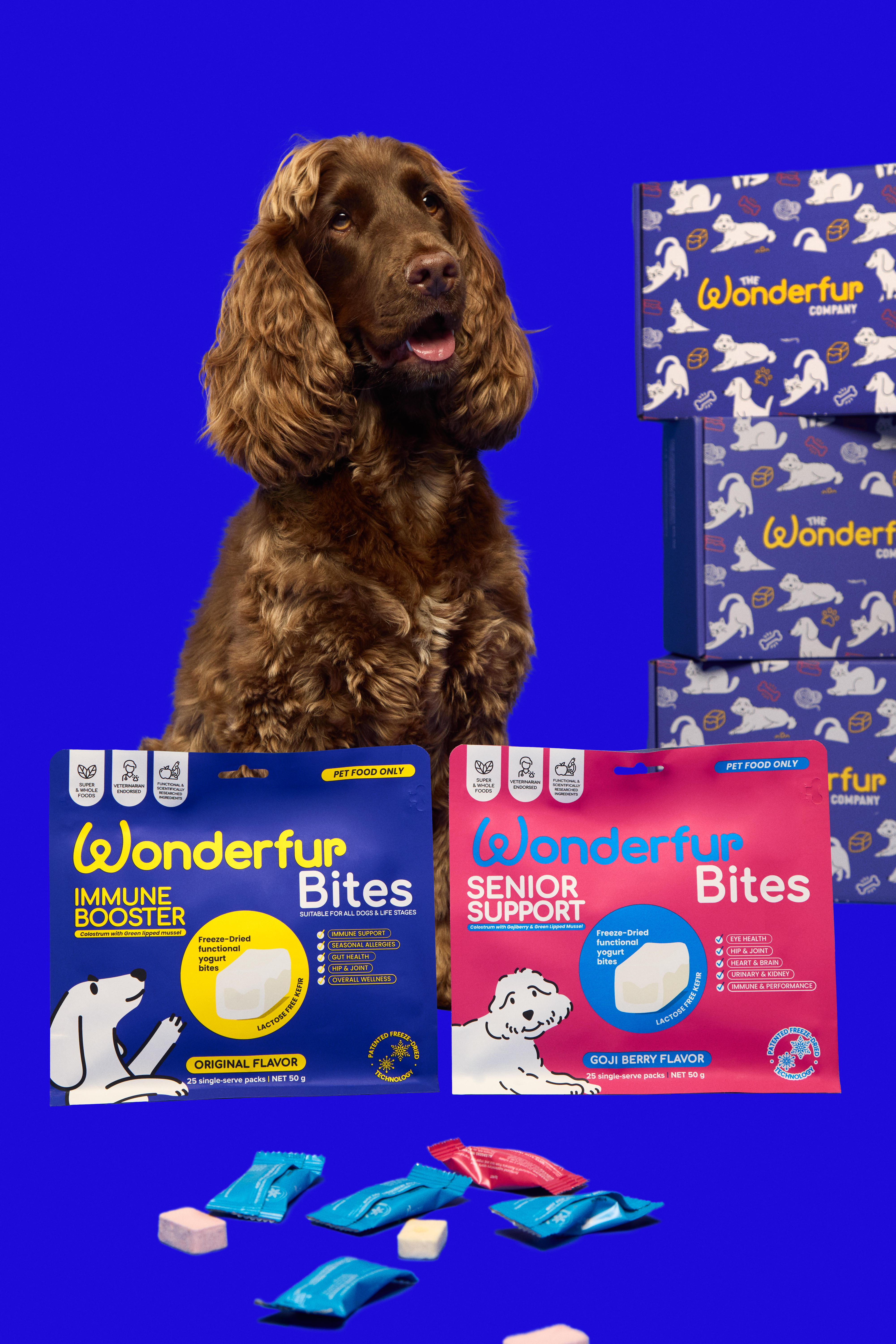 PRESS RELEASE: From Tech to Tail: How a sick pooch filled a hidden gap in the  Aussie pet health market