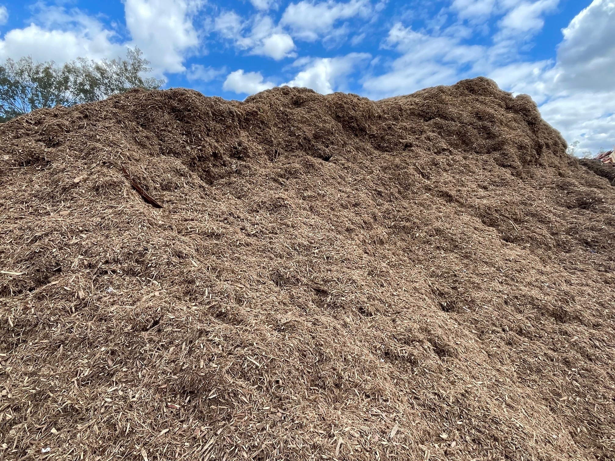 PRESS RELEASE: Food Organics and Garden Organics (FOGO) Position Paper Updated