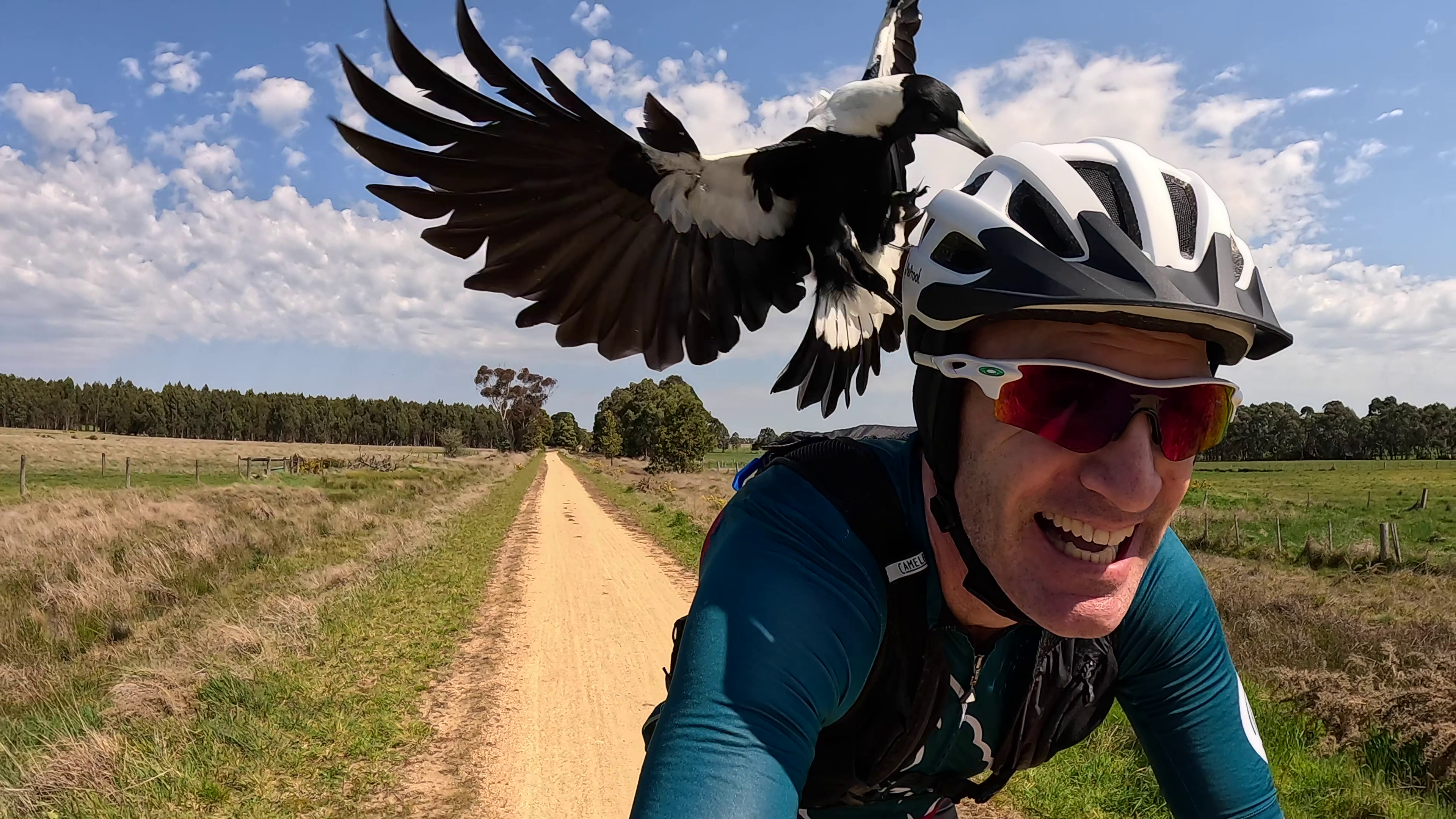 PRESS RELEASE: PieProof Unveils Innovative Cycle Helmets to Defend Against Magpie Attacks