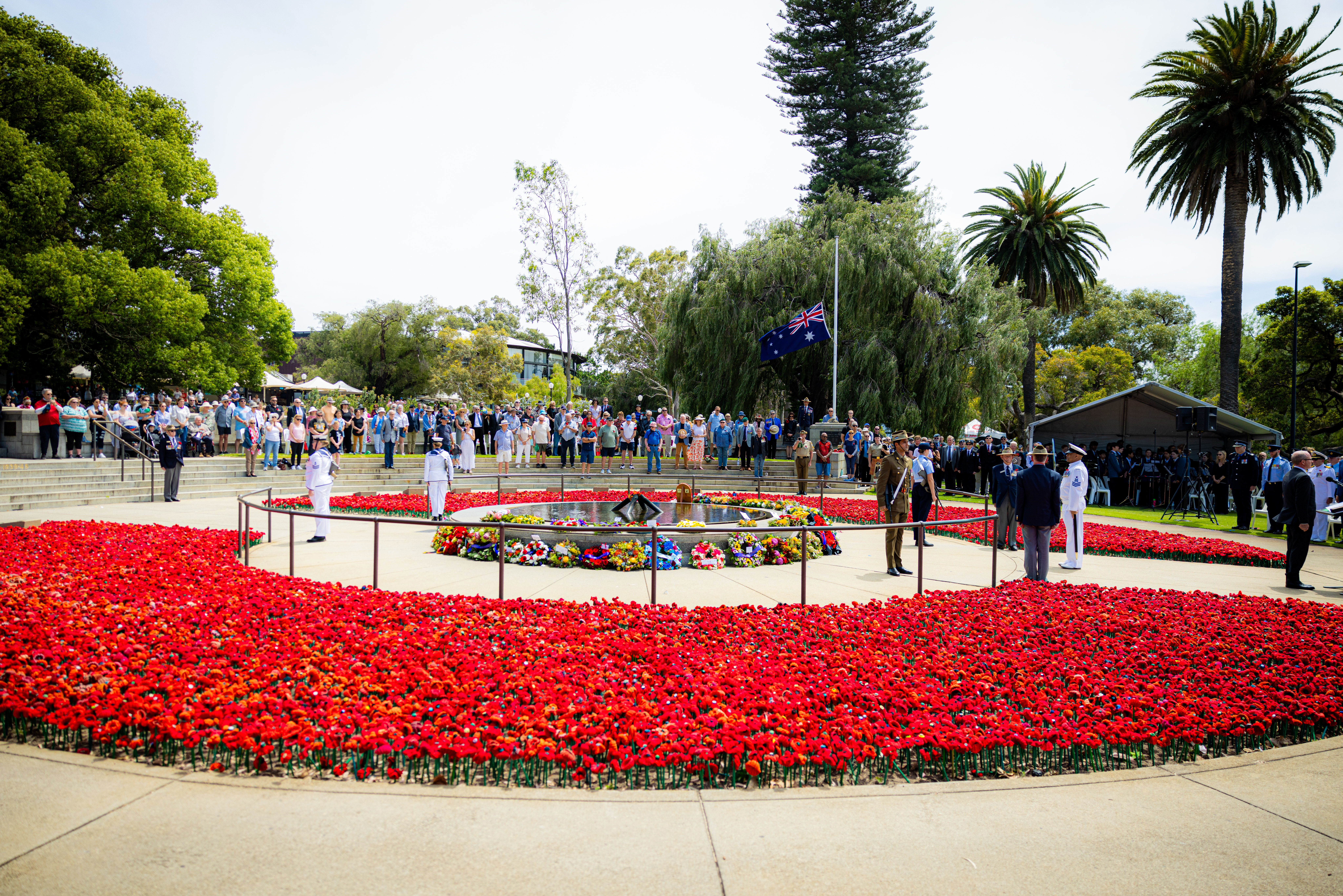 PRESS RELEASE: Join us in Honouring the Fallen this Remembrance Day and Poppy Appeal